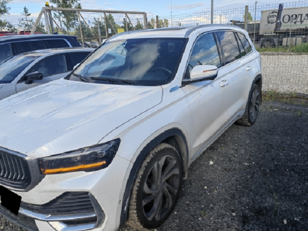 Geely Monjaro 2.0 4WD AT (238 л.с.)